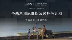 其焦点正在于：将AI视为焦点经济计谋